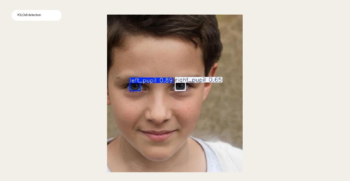 YOLOv8 detecting left and right pupils in a face image